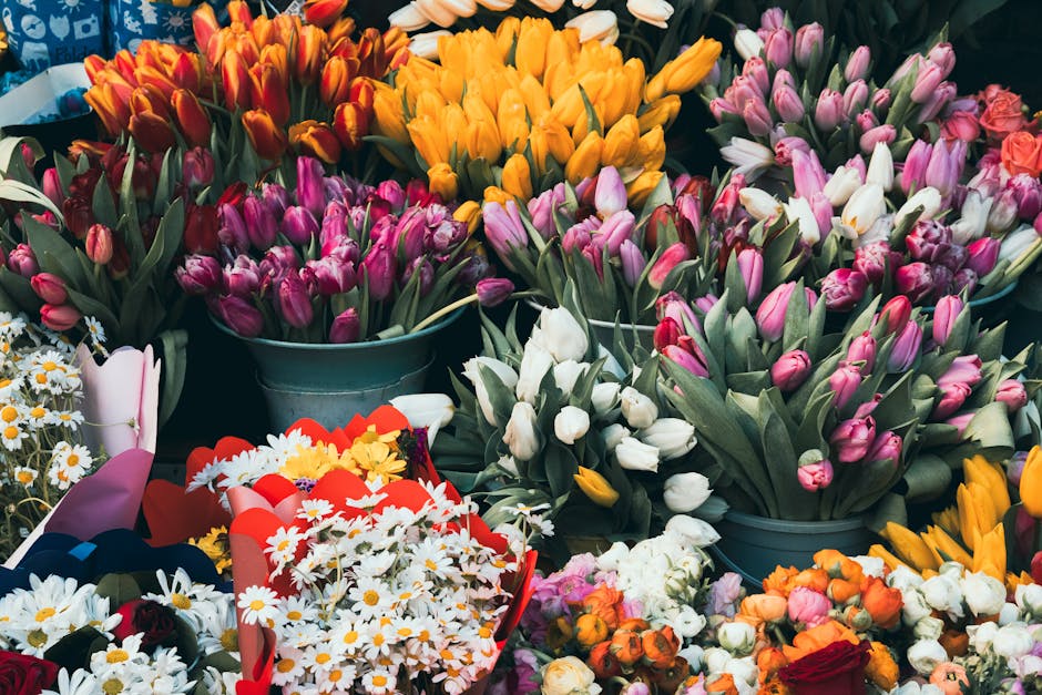 https://flowerdeliveryqueenspark.co.uk/blog/salusbury-road-florist-guide-queens-park-best-bouquets/